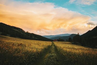 Scenic view of field against sky during sunset