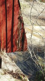 Close-up of red shadow on tree