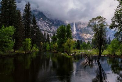 Panoramic view of lake in forest