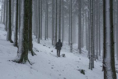 Man walking on snow covered trees in forest