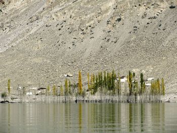 Scenic view of lake against trees