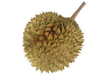 Directly above shot of fruit on white background