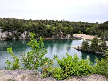 Scenic view of lake in forest against sky