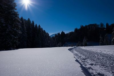 Scenic view of snow covered landscape