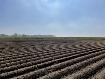 field