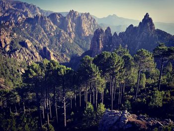 High angle view of trees against rocky mountains