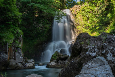 Scenic view of waterfall in forest