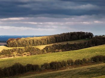 Scenic view of landscape against sky