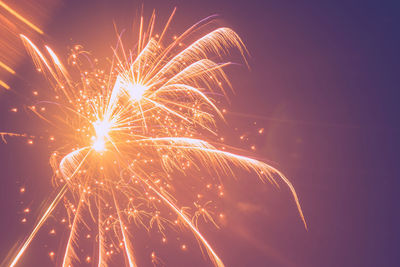 Low angle view of firework display against sky at night