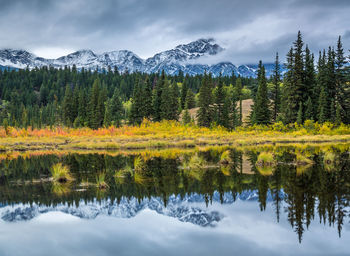 Scenic view of lake by trees against sky