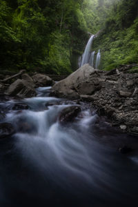 Scenic view of waterfall in forest