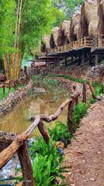 Wooden bridge amidst trees in forest