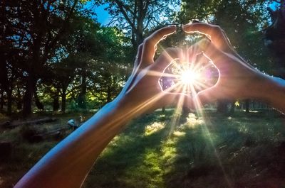 Close-up of hand holding sun shining through trees in forest