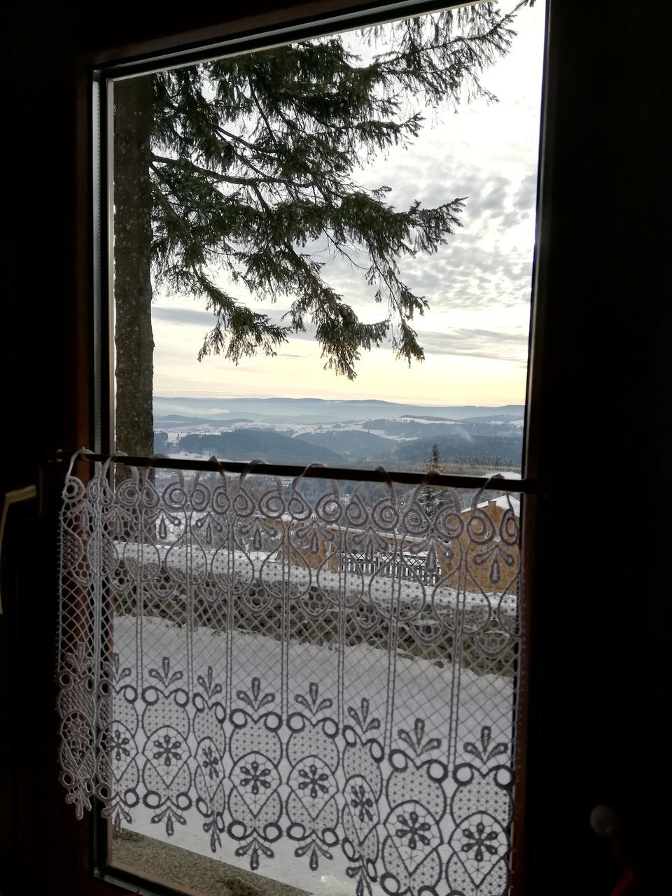 TREE BY WINDOW AGAINST SKY