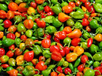 Full frame shot of chili peppers for sale at market