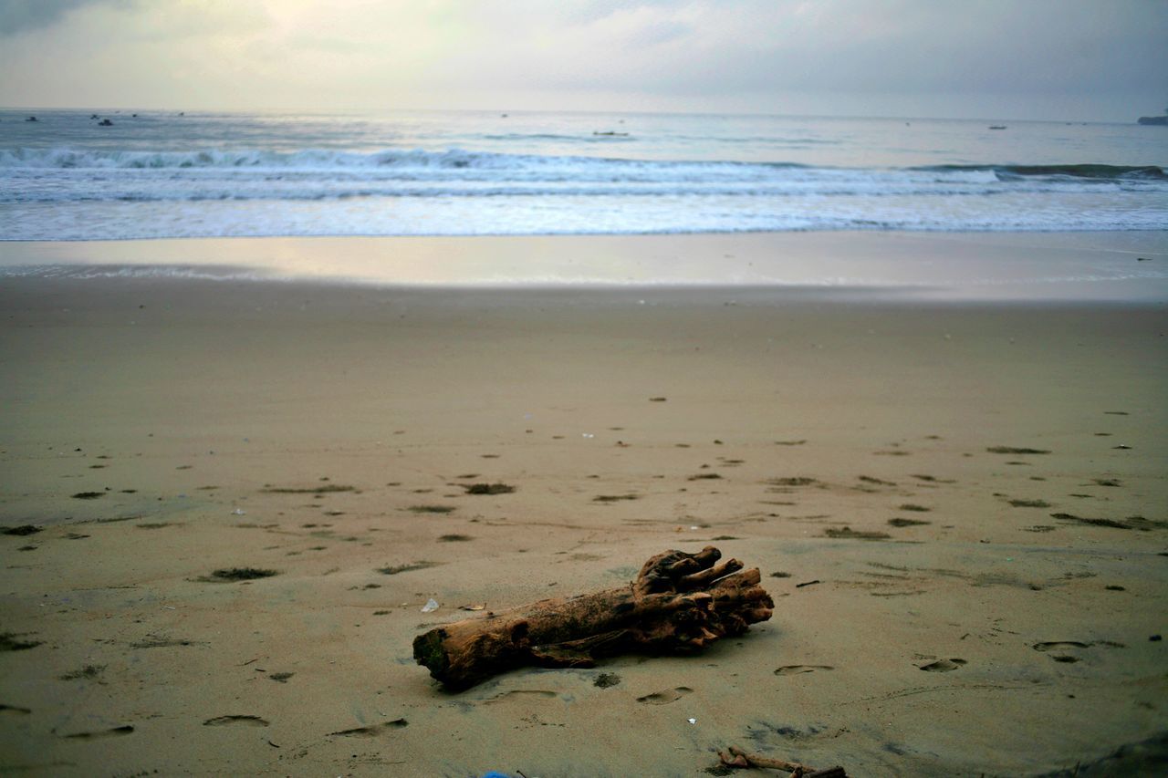 DRIFTWOOD ON BEACH AGAINST SKY