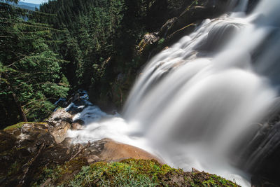 Scenic view of waterfall in forest