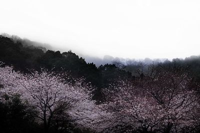 Scenic view of mountains against clear sky