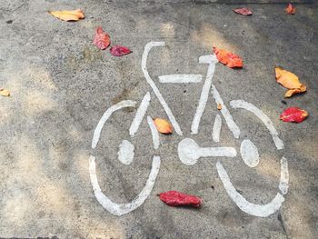 High angle view of bicycle marking on street