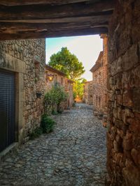 Street amidst trees against sky