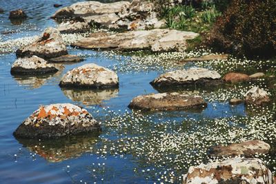 High angle view of rocks in lake