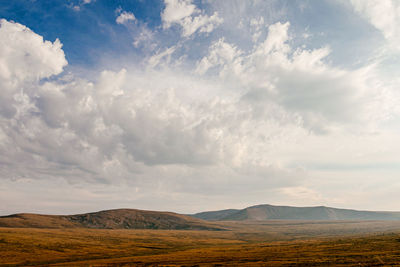 Altai mountain valley autumn withering grass. blue sky with white clouds