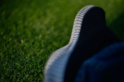 Low section of person on field