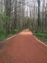 Empty road along trees in forest