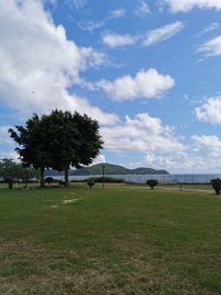 Trees on field against sky
