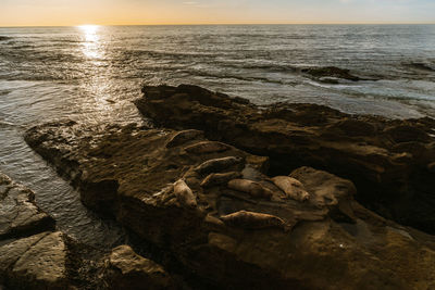 Scenic view of sea against sky during sunset