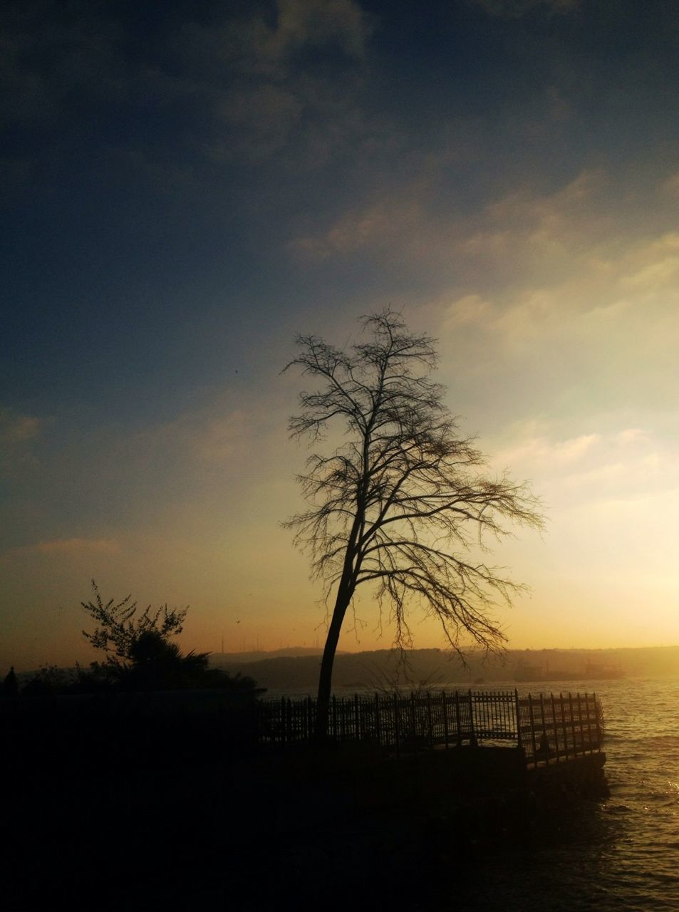 sunset, tranquil scene, tranquility, silhouette, water, scenics, sea, beauty in nature, horizon over water, sky, nature, tree, idyllic, branch, non-urban scene, bare tree, calm, dusk, tree trunk, outdoors