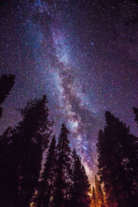 Low angle view of stars in sky at night