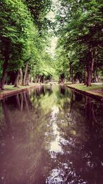 Scenic view of lake with trees in background