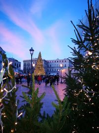 Illuminated christmas tree at dusk