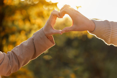 Cropped hand of woman holding plant