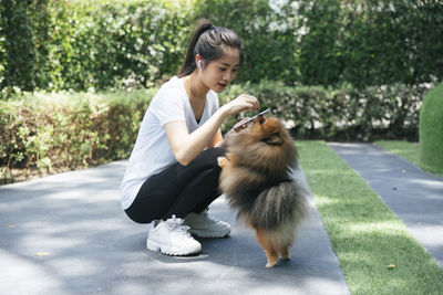 Full length of woman using phone playing with dog at park