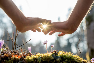 Close-up of hands holding flowers against blurred background