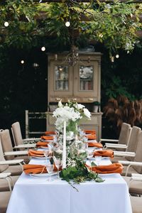 View of potted plant on table