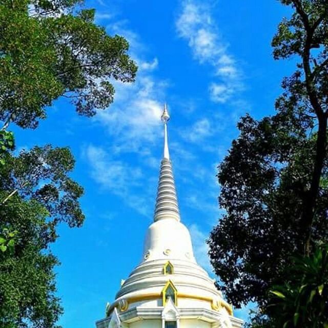religion, tree, place of worship, spirituality, low angle view, architecture, built structure, building exterior, sky, blue, famous place, spire, church, travel destinations, dome, tourism, tower, travel