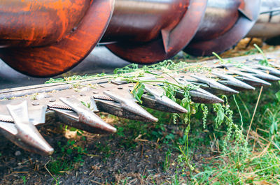 Metal spikes of the harvesting part of the harvester