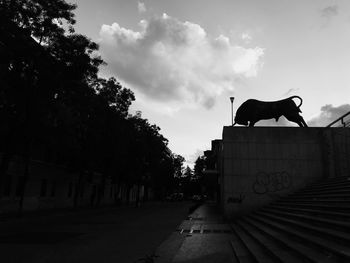 Silhouette of a horse against the sky