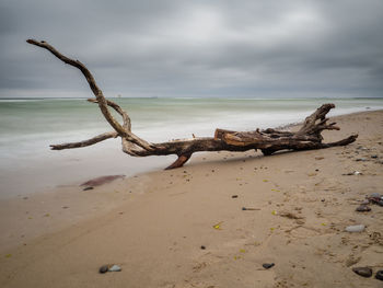 Driftwood on sand at beach against sky
