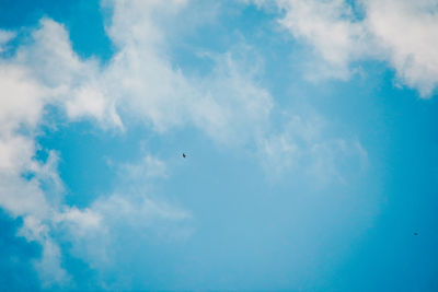 Low angle view of bird flying in sky