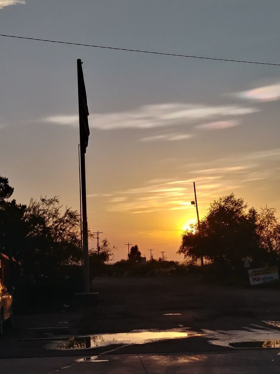 SILHOUETTE TREES AGAINST SKY DURING SUNSET