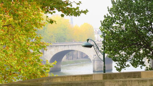 Bridge over trees in park