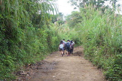 Men walking on road amidst trees