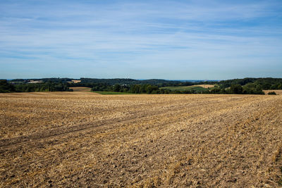 Scenic view of agricultural field against sky