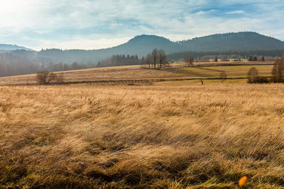 Scenic view of field against sky