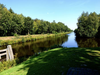 Scenic view of lake by trees against sky