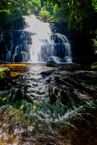 View of waterfall in forest